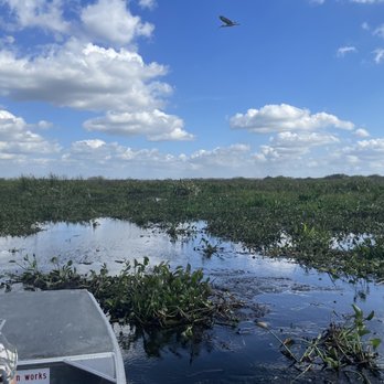 Airboats & Alligators - Boating Near Me - Immokalee, Florida