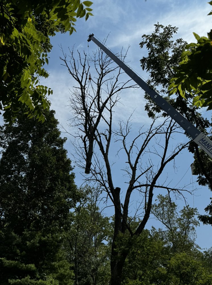 ARBOR DOC TREE SERVICE - Updated November 2025 - 10 Photos - 197 ...