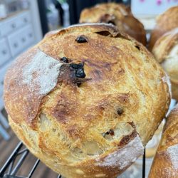 Sunshine & Sugar Bakeshop - Cranberry walnut sourdough
