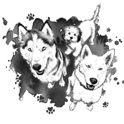 Paws On the Go Dog Walking