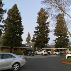 Sparkling Whites - Pics of where my office is located
