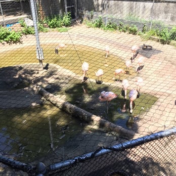 Franklin Park Zoo - Zoos Near Me - Boston, Massachusetts Franklin Park Zoo - Zoos Near Me - Boston, Massachusetts