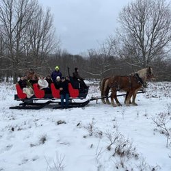 CJ's Stable - Sleigh Ride