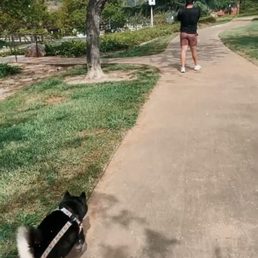 Part of the trail