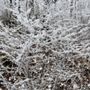 Photo of Springer Mountain
