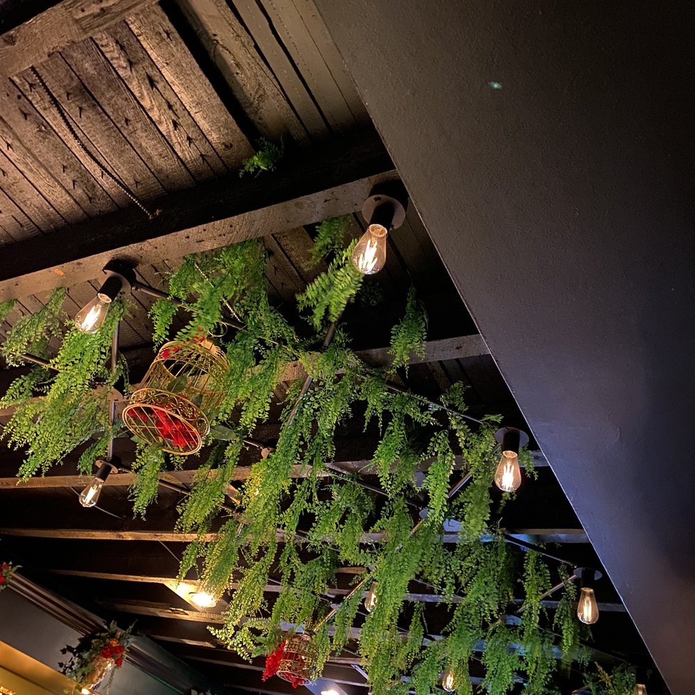 DC Vegan - Botanical bar - Vegan Near Me - Washington, DC, District of Columbia