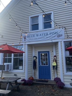 Blue Water Fish by null