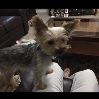 Jaco Kennel - Pet Breeders Near Me - Hulbert, Oklahoma