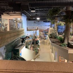 View from the third floor to the dinosaur floor. View from the third floor to the dinosaur floor.