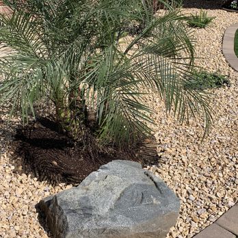 HomeTurf - Our little project that came to fruition - Landscaping Near Me - El Cajon, California
