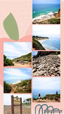 Point Dume State Beach by null