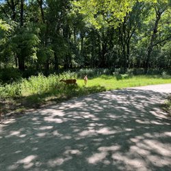 Des Plaines River Trail and Greenway
