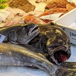 Mercato di Rialto - March 1, 2024.