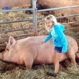 That's Some Pig! That's Some Pig!