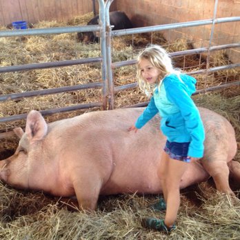 Poplar Spring Animal Sanctuary - That's Some Pig! - Animal Shelters Near Me - Poolesville, Maryland Poplar Spring Animal Sanctuary - That's Some Pig! - Animal Shelters Near Me - Poolesville, Maryland
