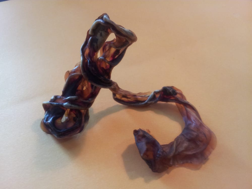 Shanti Birth Services