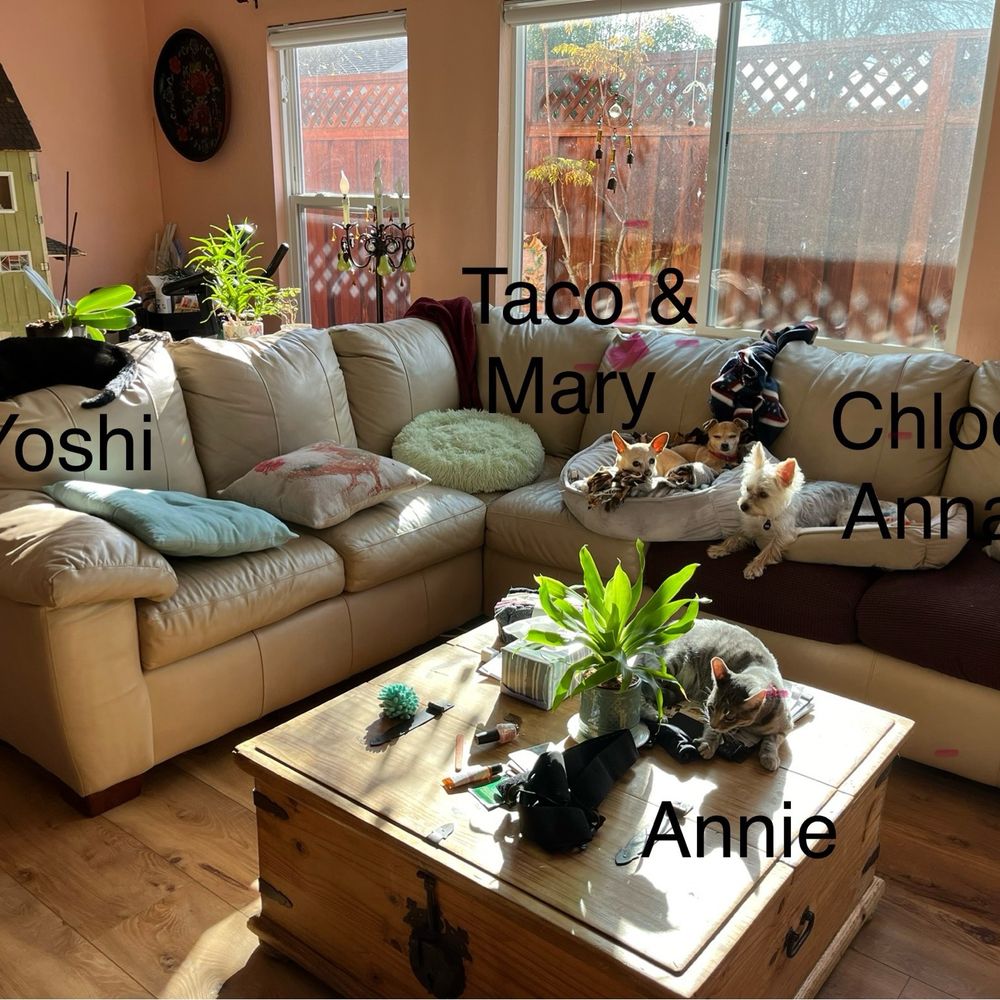 TOP 10 BEST Pet Adoption near Martinez, CA - Updated 2026 - Yelp