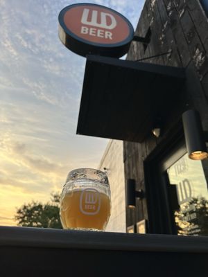 Working Draft Beer Company by null