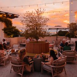 Ivy Rooftop