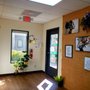 Photo of Do The Most Synergistic Wellness