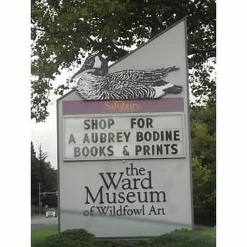 Ward Foundation - Art Museums Near Me - Salisbury, Maryland