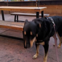 Dog friendly patio!