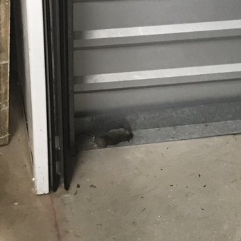 Public Storage - I'm my storage unit - Self Storage Near Me - Carlsbad, California Public Storage - I'm my storage unit - Self Storage Near Me - Carlsbad, California