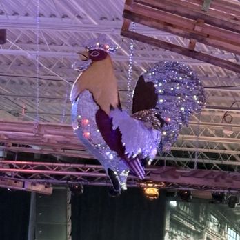 Joyland Live - Sarasota - Dance Clubs Near Me - Sarasota, Florida