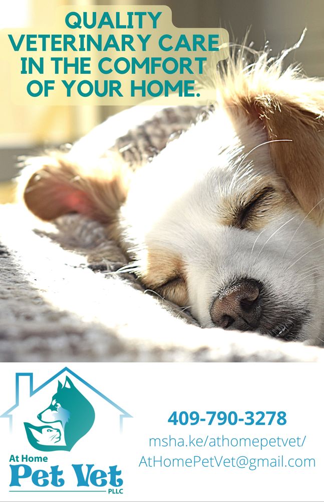 AT HOME PET VET Updated August 2024 Lumberton, Texas