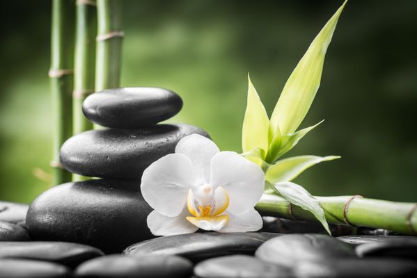 Sun Chinese Massage Spa