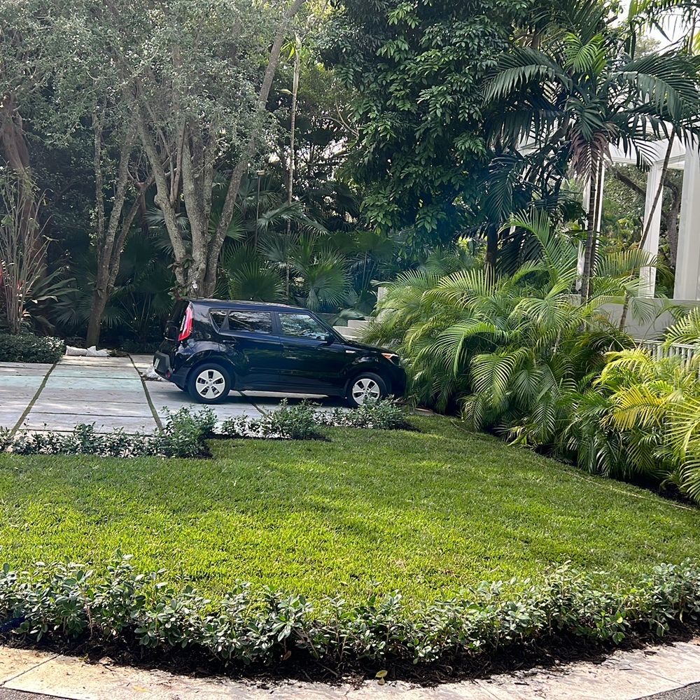 Rapid 1 Tree Service - Gardeners Near Me Rapid 1 Tree Service - Gardeners Near Me