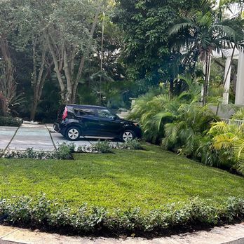 Rapid 1 Tree Service - Gardeners Near Me Rapid 1 Tree Service - Gardeners Near Me