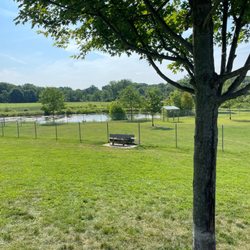 Schneider Community Park - Pond & tree