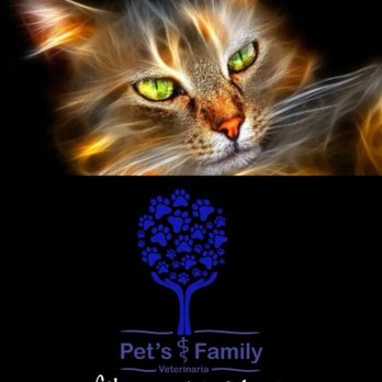 Pet's  Family - Veterinarians Near Me - Tijuana, BCN