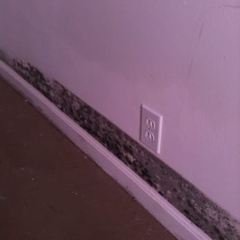 DNL Builders - This mildew was caused by the leak - General Contractors Near Me DNL Builders - This mildew was caused by the leak - General Contractors Near Me