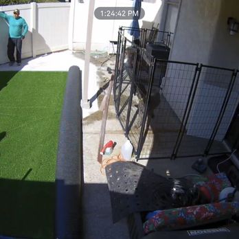 Turf and Paver Exchange - Measure once, cut twice?? JK (Rolling out the turf and setting up the cuts....they did great!) - Artificial Turf Near Me - Camarillo, California Turf and Paver Exchange - Measure once, cut twice?? JK (Rolling out the turf and setting up the cuts....they did great!) - Artificial Turf Near Me - Camarillo, California