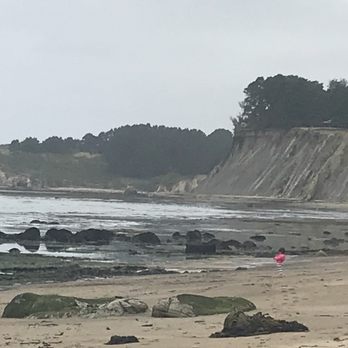 Bowling Ball Beach - Beaches Near Me - Point Arena, California