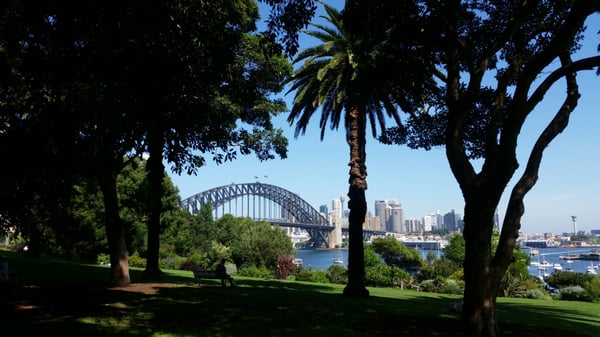 Wendy Whiteley's Secret Garden by null