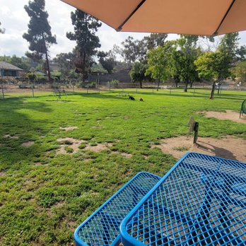 Rohr Dog Park - Small dog side with the table in view - Dog Parks Near Me - Bonita, California Rohr Dog Park - Small dog side with the table in view - Dog Parks Near Me - Bonita, California