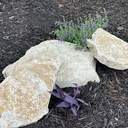 Some of the rocks we purchased! Some of the rocks we purchased!