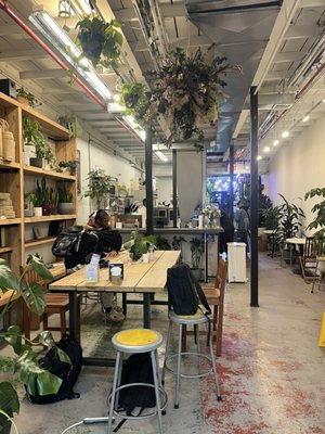 Mushtari Hardware and Garden