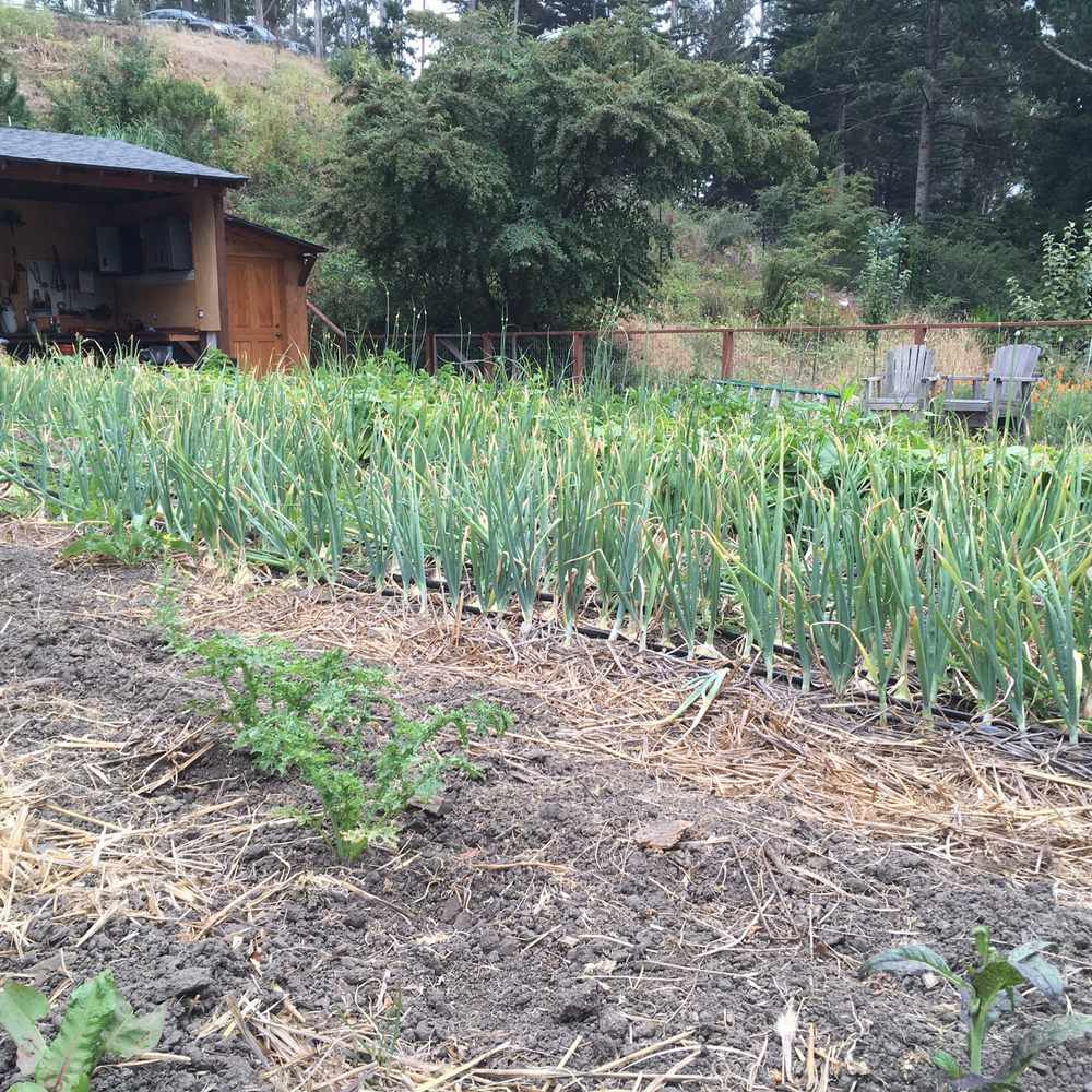 Miramar Farms - Venues & Event Spaces Near Me - Half Moon Bay, California Miramar Farms - Venues & Event Spaces Near Me - Half Moon Bay, California