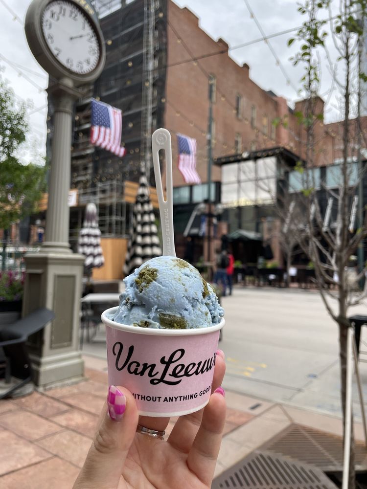 VAN LEEUWEN ICE CREAM DENVER 26 Photos & 20 Reviews 1459 Larimer