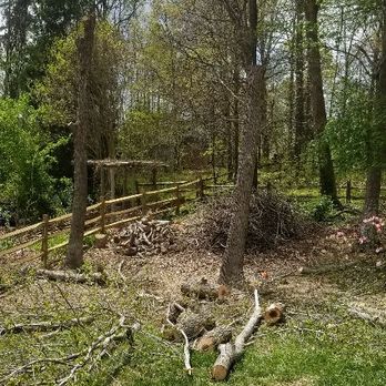 Mannings Tree Service - Sweet gum removal - Tree Services Near Me Mannings Tree Service - Sweet gum removal - Tree Services Near Me