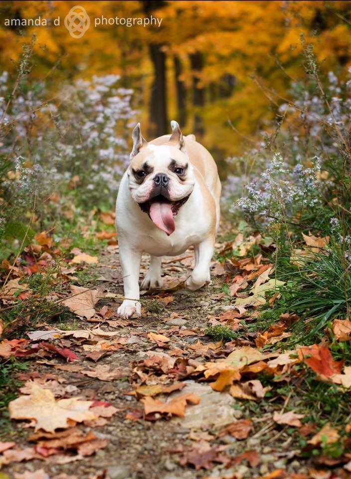 AMANDA D PHOTOGRAPHY 835 Greenmount Blvd, Dayton, OH Yelp