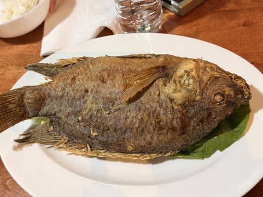 Angkor Bar & Grill by null