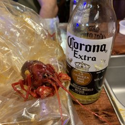 Corona and crawfish