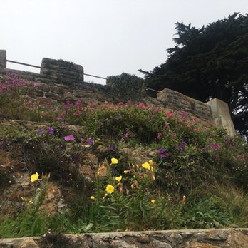 Sutro Heights Park - The old house (one side has these flowers and the other side is unfortunately graffitied - Parks Near Me - San Francisco, California Sutro Heights Park - The old house (one side has these flowers and the other side is unfortunately graffitied - Parks Near Me - San Francisco, California