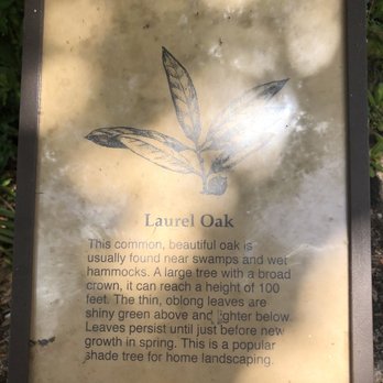 Big Cypress Bend Boardwalk - Parks Near Me - Naples, Florida