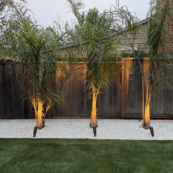 Dream Reality Landscape - Landscaping Near Me - Hayward, California Dream Reality Landscape - Landscaping Near Me - Hayward, California